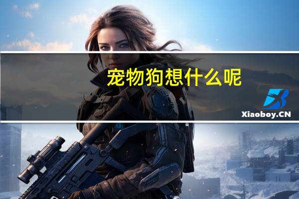 宠物狗想什么呢