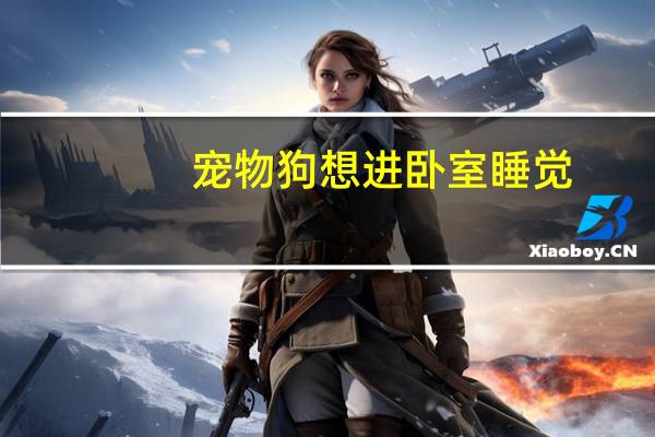 宠物狗想进卧室睡觉