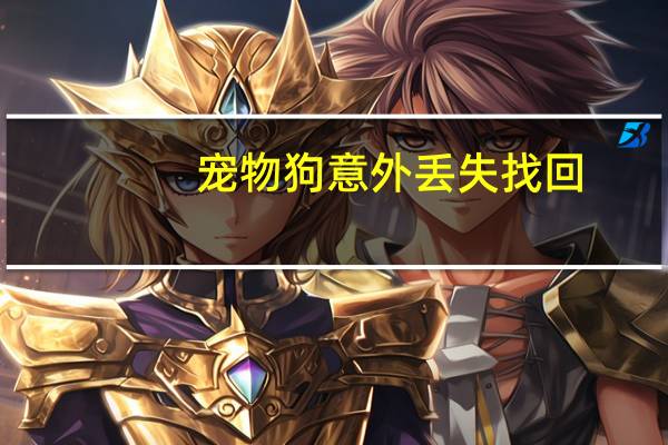 宠物狗意外丢失找回