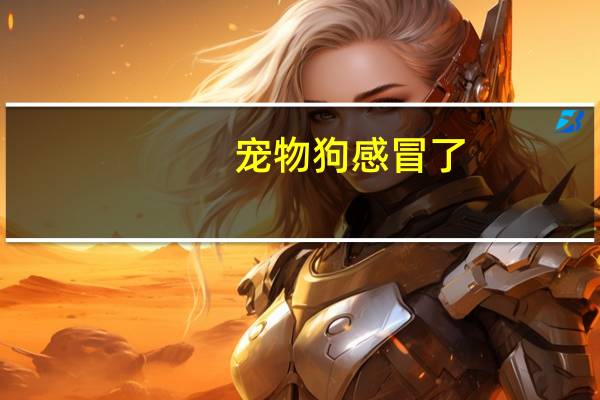 宠物狗感冒了