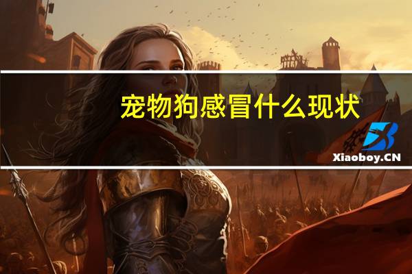 宠物狗感冒什么现状