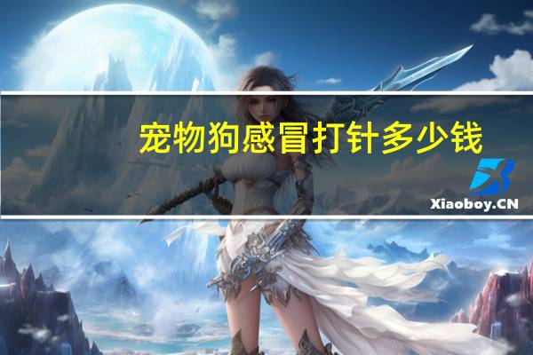 宠物狗感冒打针多少钱
