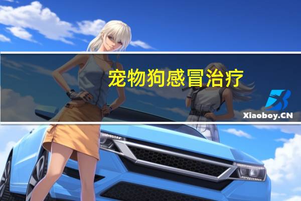 宠物狗感冒治疗