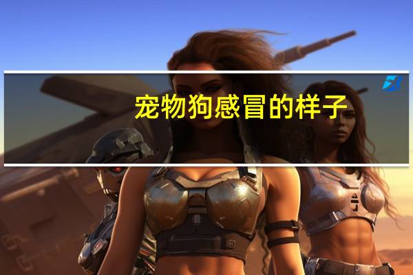 宠物狗感冒的样子