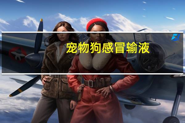 宠物狗感冒输液