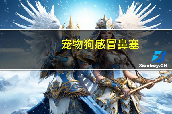 宠物狗感冒鼻塞