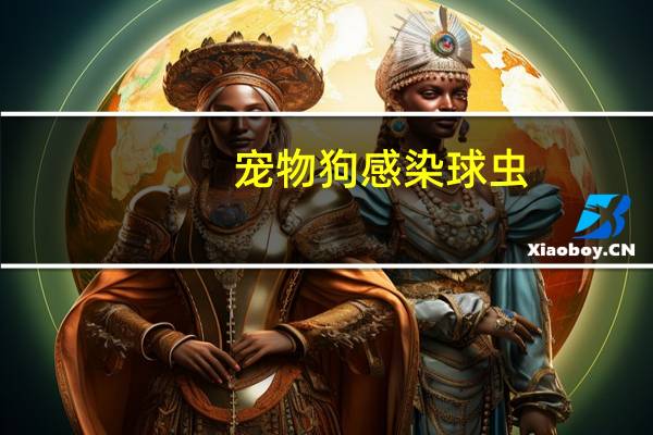 宠物狗感染球虫