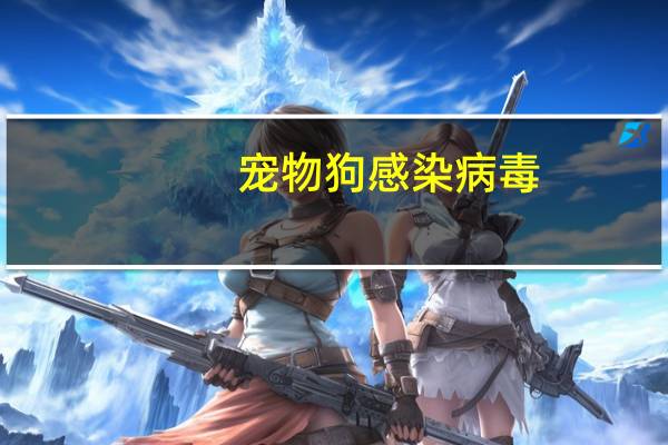 宠物狗感染病毒