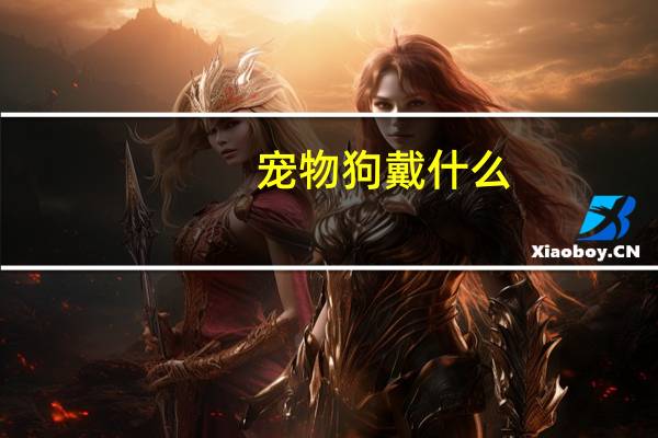 宠物狗戴什么