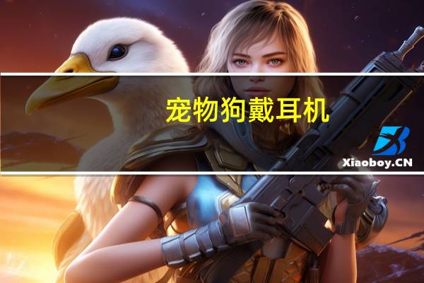宠物狗戴耳机
