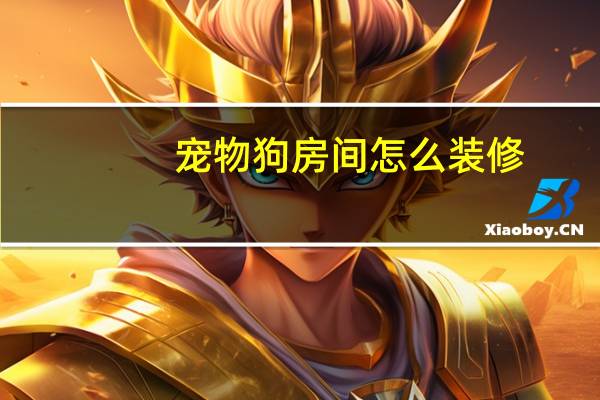 宠物狗房间怎么装修
