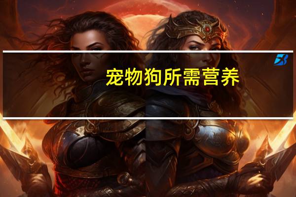 宠物狗所需营养