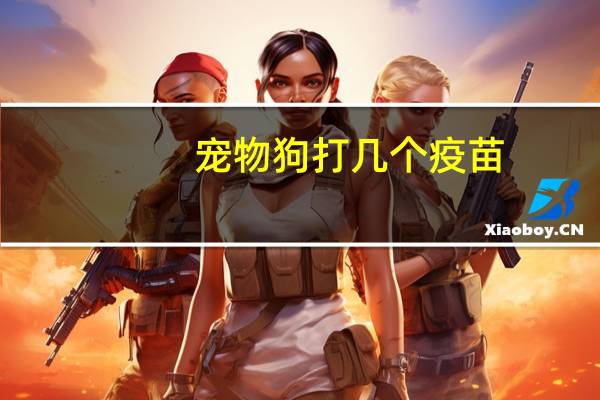 宠物狗打几个疫苗