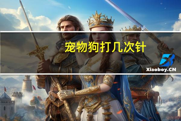 宠物狗打几次针