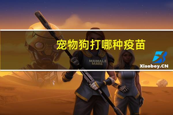宠物狗打哪种疫苗