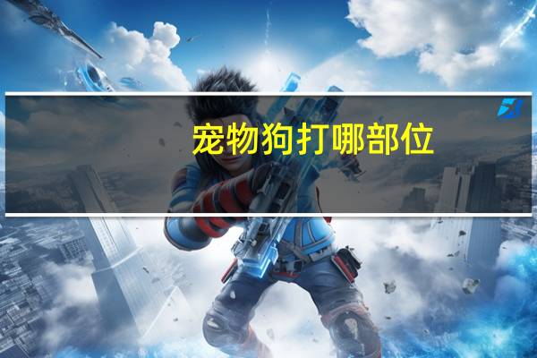 宠物狗打哪部位