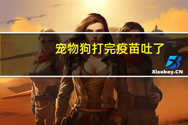 宠物狗打完疫苗吐了