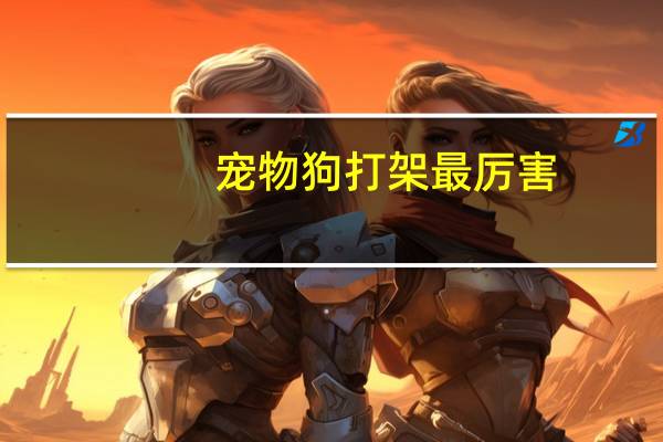 宠物狗打架最厉害