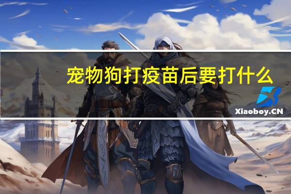宠物狗打疫苗后要打什么