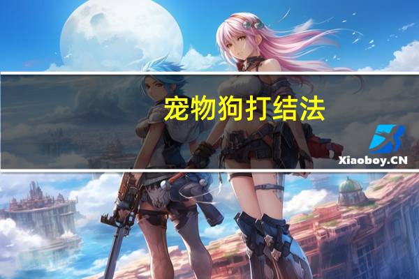 宠物狗打结法