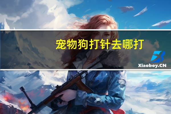 宠物狗打针去哪打