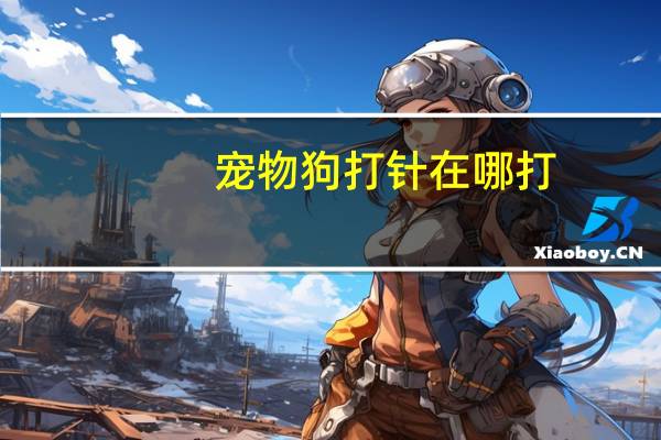 宠物狗打针在哪打