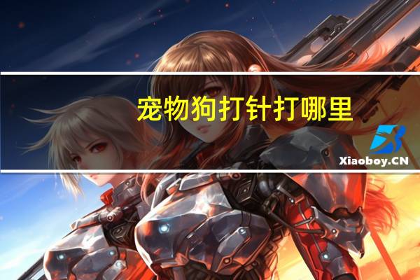 宠物狗打针打哪里