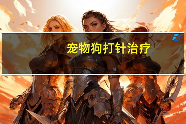 宠物狗打针治疗