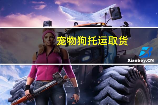 宠物狗托运取货