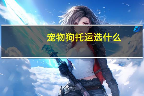 宠物狗托运选什么