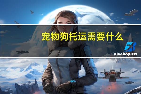 宠物狗托运需要什么
