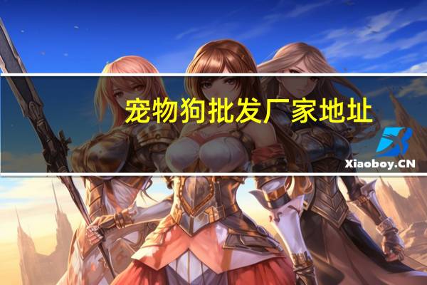 宠物狗批发厂家地址