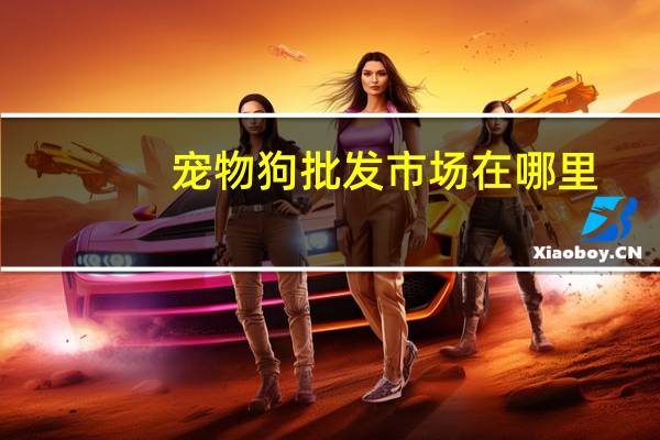 宠物狗批发市场在哪里