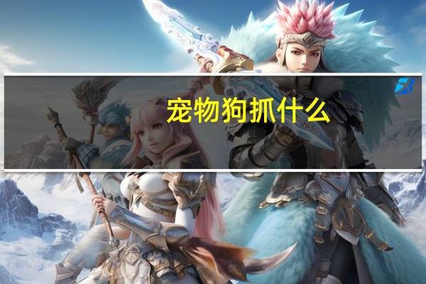 宠物狗抓什么