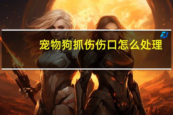 宠物狗抓伤伤口怎么处理