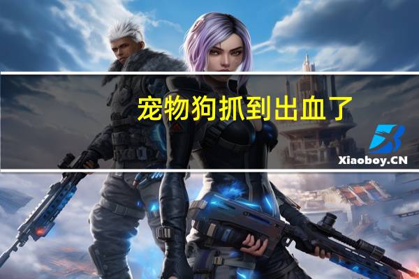 宠物狗抓到出血了