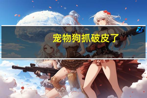 宠物狗抓破皮了