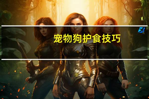宠物狗护食技巧