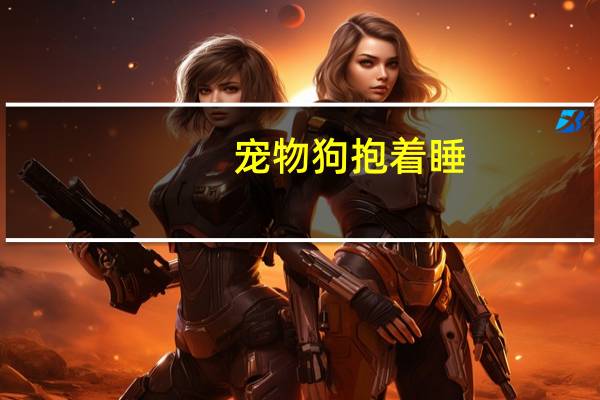宠物狗抱着睡