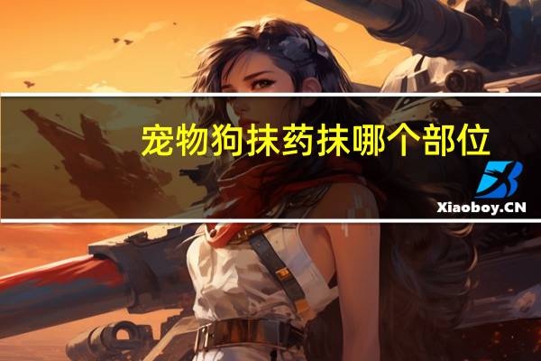 宠物狗抹药抹哪个部位
