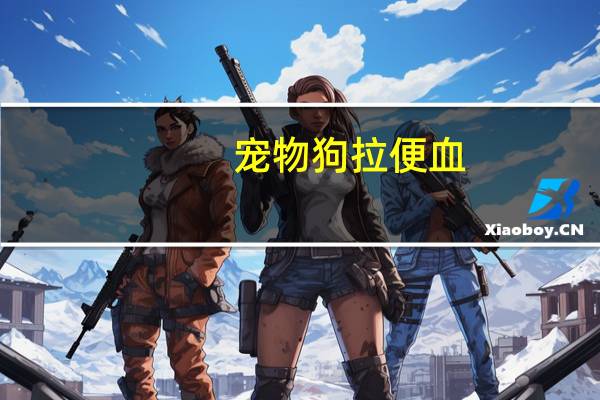 宠物狗拉便血