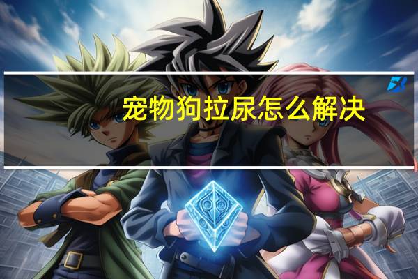 宠物狗拉尿怎么解决