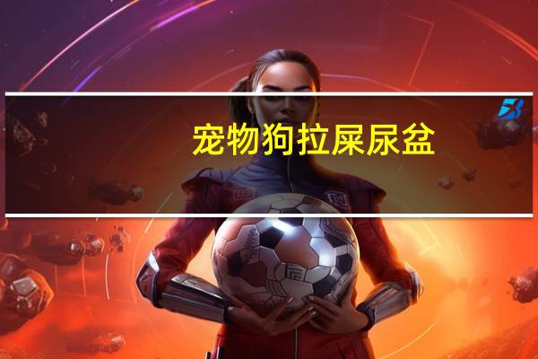 宠物狗拉屎尿盆
