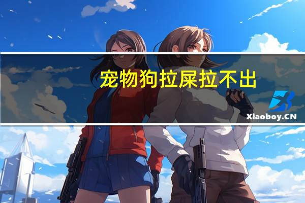 宠物狗拉屎拉不出