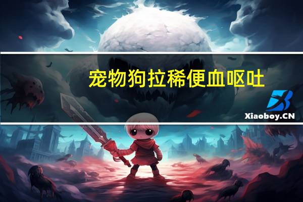 宠物狗拉稀便血呕吐