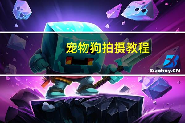 宠物狗拍摄教程