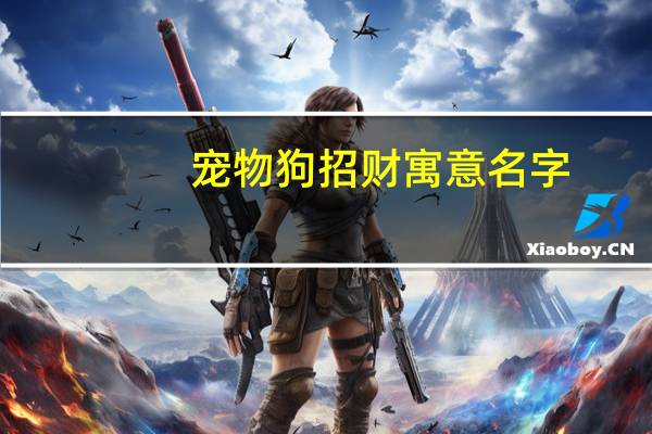 宠物狗招财寓意名字