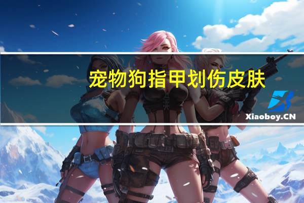 宠物狗指甲划伤皮肤