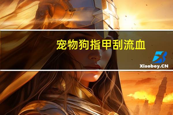 宠物狗指甲刮流血