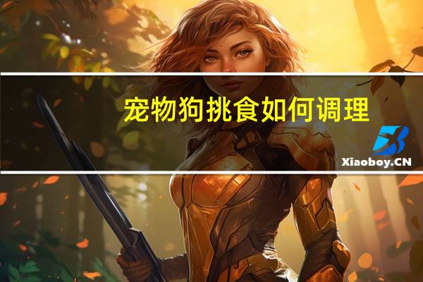 宠物狗挑食如何调理